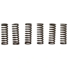 Kupplungsfedern verstärkt TRW für Motorräder