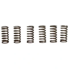 Kupplungsfedern verstärkt TRW Inhalt 6 Stück passend für: BMW F 650, Aprilia Pegaso, RSV, ETV