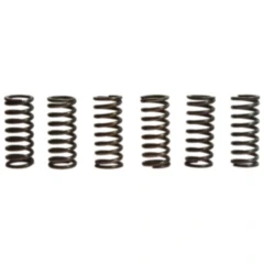 Kupplungsfedern verstärkt TRW Inhalt 6 Stück passend für: Kawasaki ZZR, GPZ