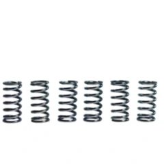 Kupplungsfedern verstärkt TRW Inhalt 6 Stück Alternative: 7459043 passend für: Honda XRV, NSR, CBR