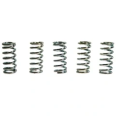 Kupplungsfedern verstärkt TRW Inhalt 5 Stück passend für: Honda VF