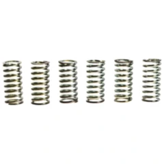 Kupplungsfedern verstärkt TRW Inhalt 6 Stück passend für: Honda CR, CM, XL, CJ
