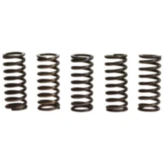 Kupplungsfedern verstärkt TRW Inhalt 5 Stück passend für: Triumph Sprint, Tiger, Speed Triple