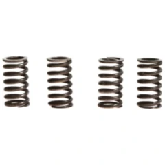 Kupplungsfedern verstärkt TRW Inhalt 4 Stück passend für: Kawasaki KMX