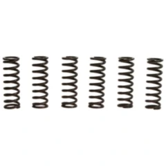 Kupplungsfedern verstärkt TRW Inhalt 6 Stück passend für: Yamaha YFM