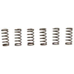 Kupplungsfedern verstärkt TRW Inhalt 6 Stück passend für: Kawasaki ZRX, ZR, ZX - 9R