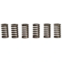 Kupplungsfedern verstärkt TRW Inhalt 6 Stück passend für: Honda CX, CG, NX, XR
