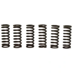 Kupplungsfedern verstärkt TRW Inhalt 6 Stück Alternative: 7450561 passend für: Honda CBR, CB