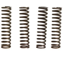 Kupplungsfedern verstärkt TRW Inhalt 4 Stück Alternative: 7450826 passend für: Kawasaki Z, ZX - 6R, VN