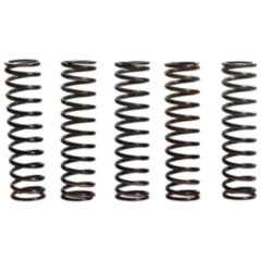 Kupplungsfedern verstärkt TRW Inhalt 5 Stück Alternative: 7450083 passend für: Kawasaki Z, ZX - 9R