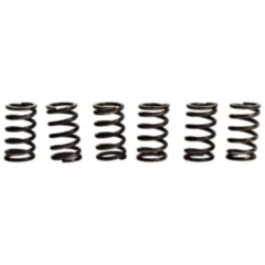 Kupplungsfedern verstärkt TRW Inhalt 6 Stück Alternative: 7459456 passend für: Kawasaki GTR, EN, ZL