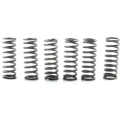 EBC verstärkte Kupplungsfedern (6 Stück) 7450023