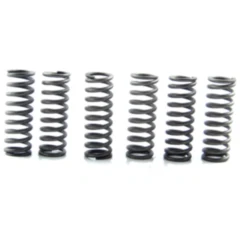 Kupplungsfedern verstärkt EBC (6 Stück)