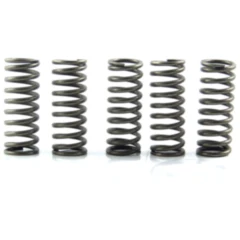 Kupplungsfedern verstärkt EBC Inhalt 5 Stück passend für: Kawasaki KX, KLX
