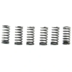 Kupplungsfedern verstärkt EBC Inhalt 6 Stück passend für: Kawasaki ZR - 7, ZX - 6R, ZX - 6RR