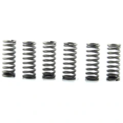 Kupplungsfeder-Kit (6 Stück) verstärkt EBC