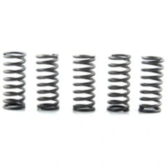 Kupplungsfedern verstärkt EBC Inhalt 5 Stück passend für: Honda VTR, XL