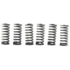 EBC Verstärkte Kupplungsfedern (6 Stück)