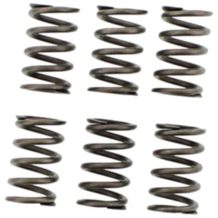 EBC verstärkte Kupplungsfedern Set 6 Stück