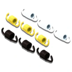 Kupplungsfeder Satz Malossi passend für: Piaggio NRG, Free, Liberty, Aprilia SR, Scarabeo, Mojito