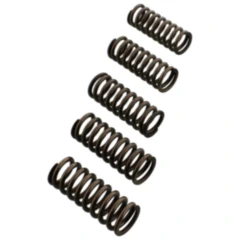 EBC verstärkte Kupplungsfedern Set 5 Stück