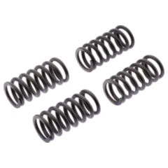 Kupplungsfedern verstärkt EBC Inhalt 4 Stück