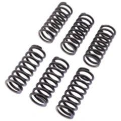 Kupplungsfedern verstärkt EBC Inhalt 6 Stück passend für: Honda CB