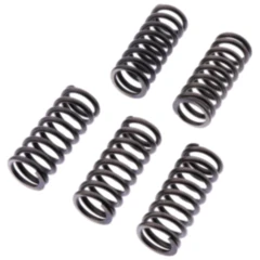 Kupplungsfedern verstärkt EBC Inhalt 6 Stück passend für: Triumph Daytona, Sprint, Speed Triple