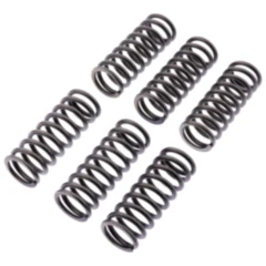 Kupplungsfedern verstärkt EBC Inhalt 6 Stück passend für: Indian Scout Sixty, Scout