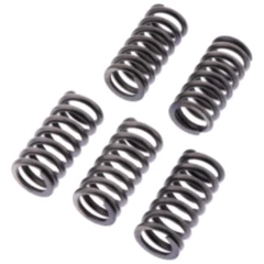 Kupplungsfedern verstärkt EBC Inhalt 4 Stück passend für: Suzuki GSX - R, GSX - S