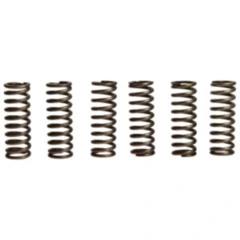 Kupplungsfedern verstärkt EBC Inhalt 6 Stück passend für: Honda CBF, VT, VTX