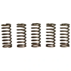 Kupplungsfedern verstärkt EBC Inhalt 5 Stück passend für: Honda XL