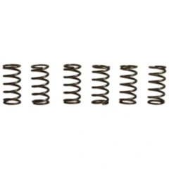 Kupplungsfedern verstärkt EBC Inhalt 6 Stück passend für: Kawasaki ZX - 6R