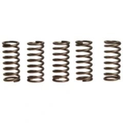 Kupplungsfedern verstärkt EBC Inhalt 5 Stück passend für: Triumph Street Triple, Tiger, Daytona