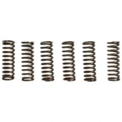 Kupplungsfedern verstärkt EBC Inhalt 6 Stück passend für: Yamaha YFZ