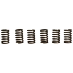 Kupplungsfedern verstärkt EBC Inhalt 6 Stück passend für: Husqvarna Enduro, Vitpilen, Svartpilen