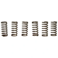 Kupplungsfedern verstärkt EBC Inhalt 6 Stück passend für: Aprilia RSV, ETV, SL