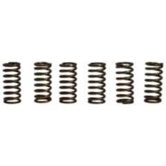 Kupplungsfedern verstärkt EBC Kit für Motorräder