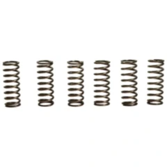 Kupplungsfedern verstärkt EBC Inhalt 6 Stück passend für: BMW G