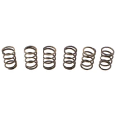 Kupplungsfedern verstärkt EBC Inhalt 6 Stück passend für: Honda ANF, MSX, Z