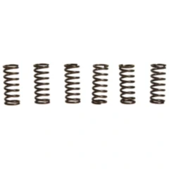 Kupplungsfedern verstärkt EBC Inhalt 6 Stück passend für: Suzuki TS, RM, GT