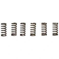 Kupplungsfedern verstärkt EBC Inhalt 6 Stück Alternative: 7387277 passend für: Yamaha YFZ