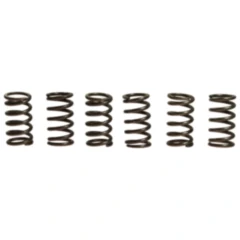 Kupplungsfedern verstärkt EBC Inhalt 6 Stück passend für: Kawasaki KX, Z, VN, KL