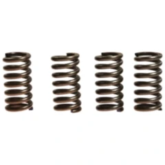 Kupplungsfedern verstärkt EBC Inhalt 4 Stück Alternative: 7388739 passend für: Honda CBR, CX