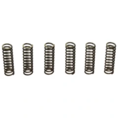 EBC verstärkte Kupplungsfedern (6 Stück)