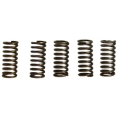 Kupplungsfedern verstärkt EBC Inhalt 5 Stück passend für: Honda CB, NT, NTV