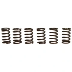 Kupplungsfedern verstärkt EBC Inhalt 6 Stück passend für: Kawasaki GTR, ZZR, ZRX