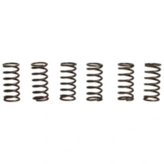 Kupplungsfedern verstärkt EBC Inhalt 6 Stück passend für: Kawasaki ZRX, ZX - 7RR, ZR
