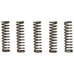 Kupplungsfedern verstärkt EBC Inhalt 5 Stück passend für: Kawasaki ZX - 12R, ZX - 9R
