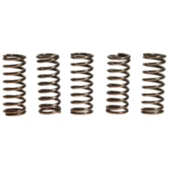Kupplungsfedern verstärkt EBC Inhalt 5 Stück passend für: Honda CB, CBR